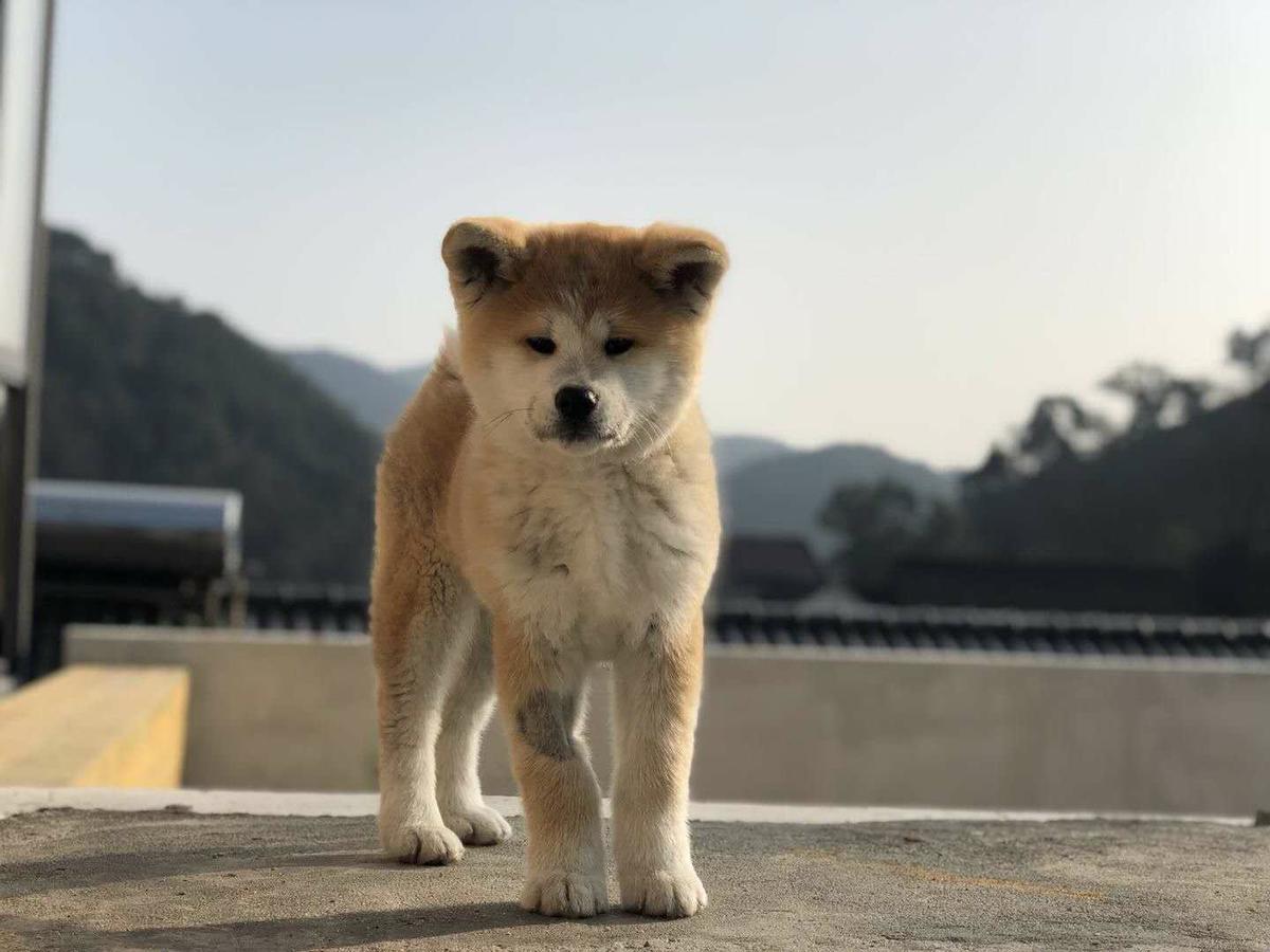 Hangzhou Sansu Hotel Dış mekan fotoğraf