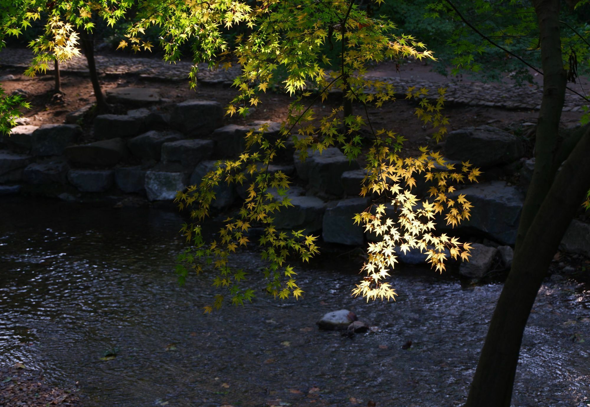 Hangzhou Sansu Hotel Dış mekan fotoğraf